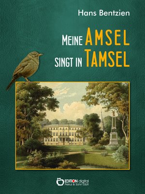 cover image of Meine Amsel singt in Tamsel